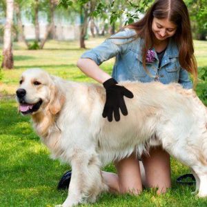 Pawly rukavice, 5-prst rukavice, ktoré vybledne a vyživuje súčasne